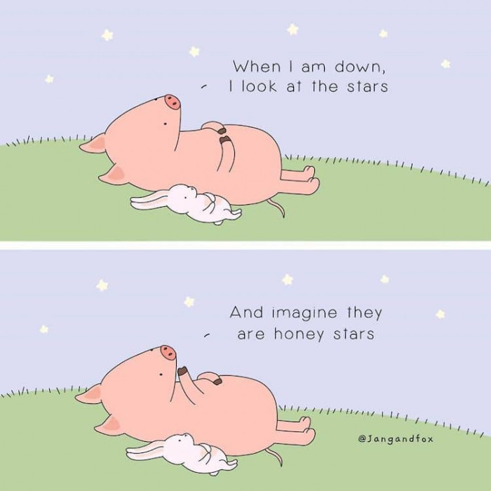 12. Looking at the honey stars