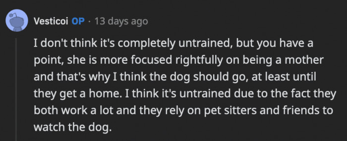Good for them for focusing on their kids and jobs first, but that means the dog is not given enough time, which makes OP's sister an irresponsible dog owner.