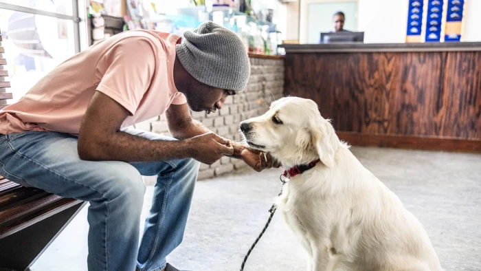 Dog anxious at a veterinary clinic, owner present to help calm it