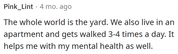 Walking dogs is about spending time with them, but it is also good for the owner's health.