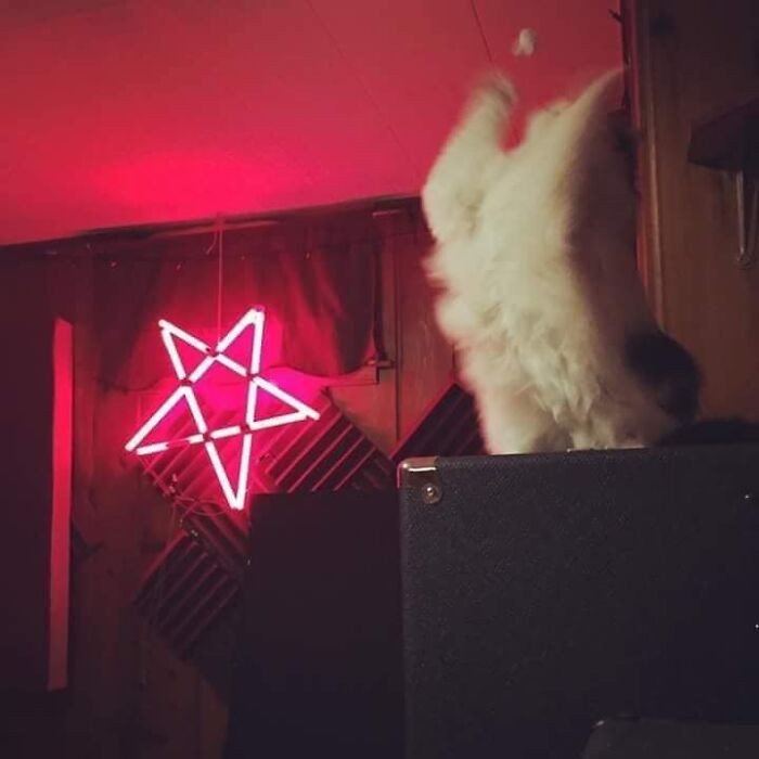 Cat with glowing aura, playful caption about a beautiful spirit residence