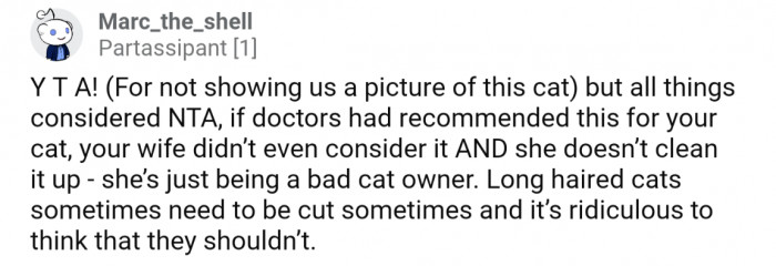 The top comment jokingly called out OP for lack of Cat Tax, but sided in his favor