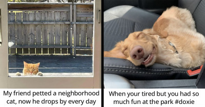 20+ Wholesome Posts To Get You Through The Week
