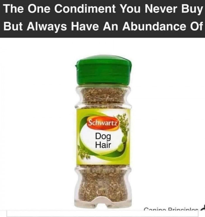 10. Talk about dog hairs