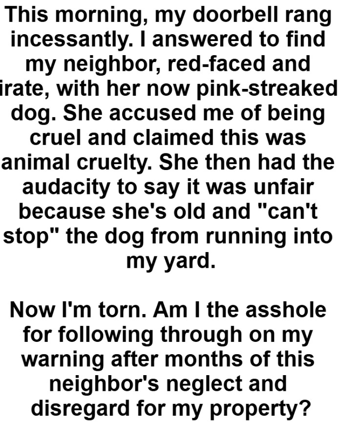 After the whole incident, the neighbor is upset, and OP wants to know if they are the AH and if they are in the wrong.