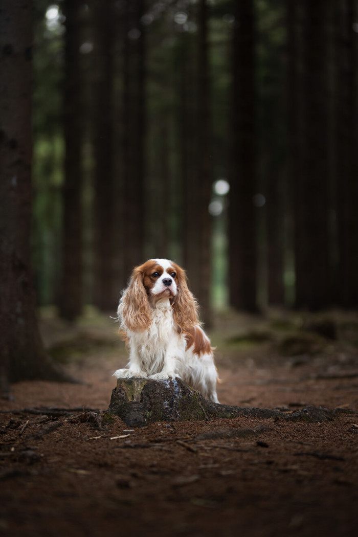 18. Here I am, and I'm part of your woooooorrrrlllldddd!