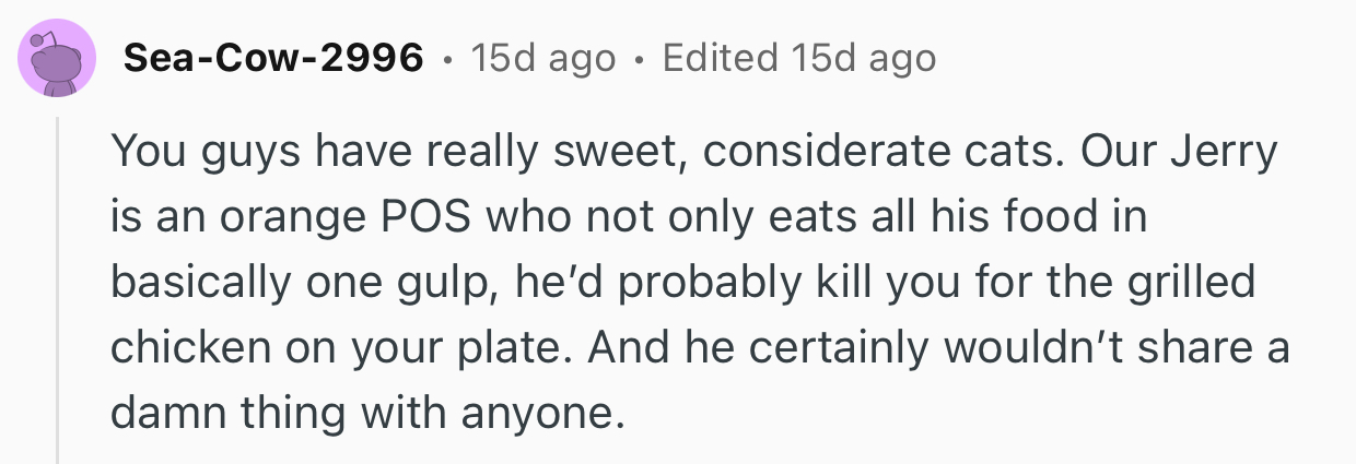 Not Everyone’s Cat Is “Sweet And Considerate.” Jerry Doesn’t Care About Anything Else Except His Belly