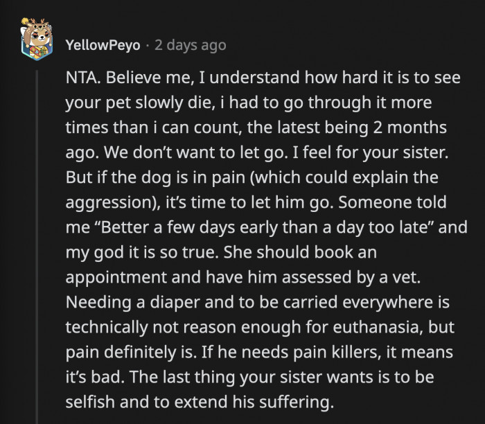 OP's sister has to put her dog's needs above her own pain.