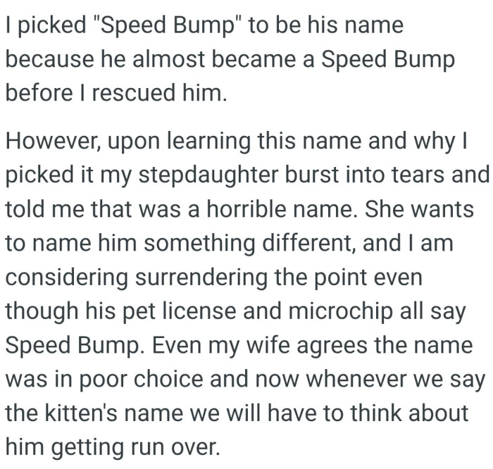 The OP is considering surrendering the point even though his pet license and microchip all say Speed Bump