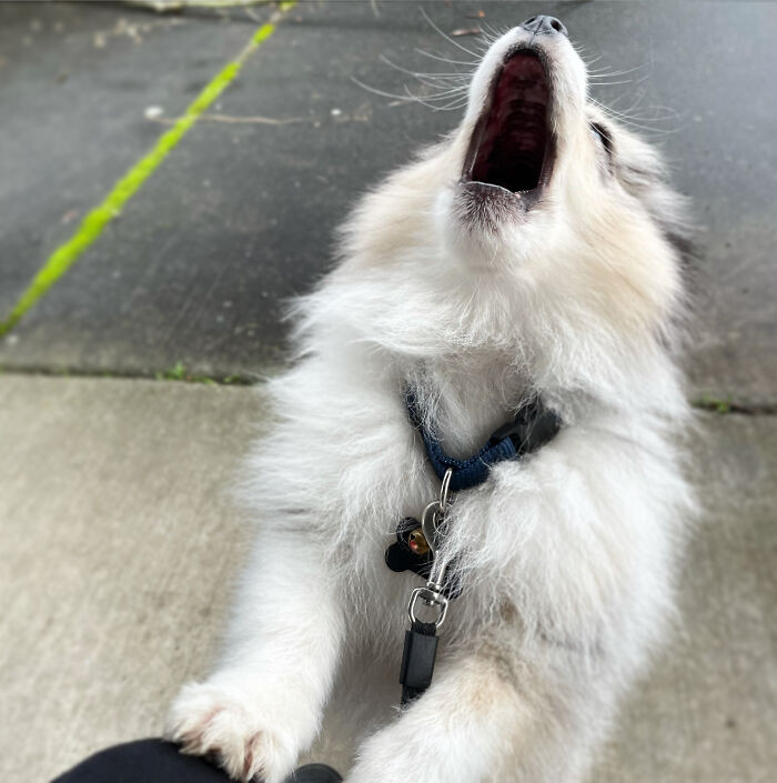 "Ask Me How Potty Training Is Going"