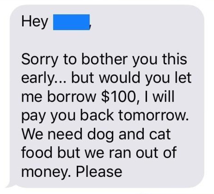 Redditor's Friend Asks For Money Claiming It's For "Cat Food," But