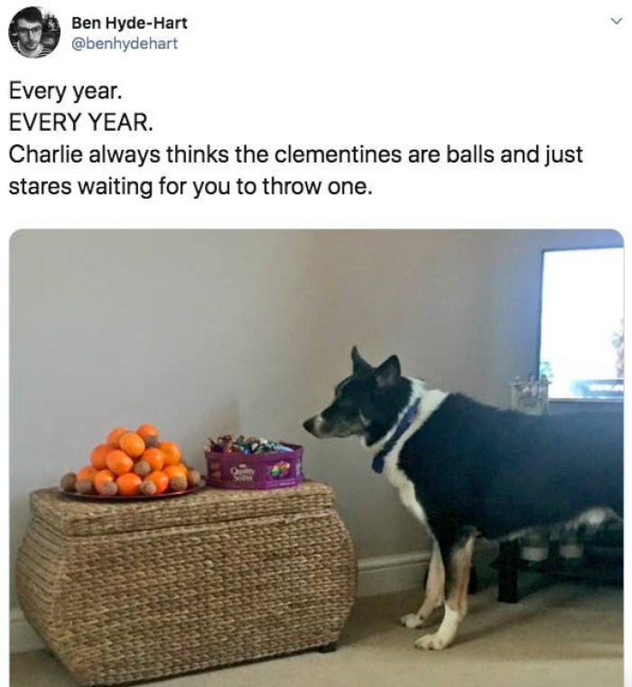 15. They'll look for any opportunity to play.