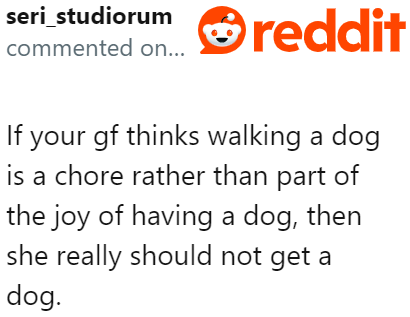 Responsible dog owners wouldn't feel that walking their dog is a chore.
