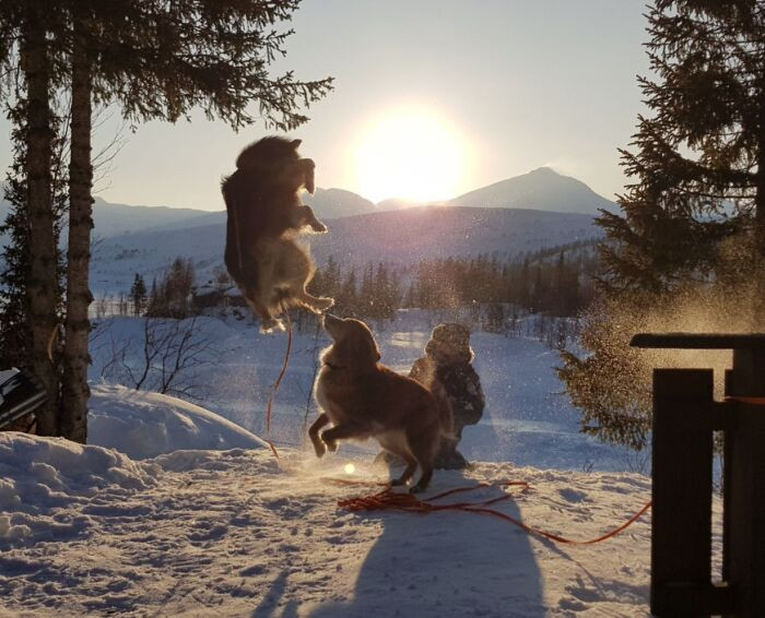 "My Mom Took This At Our Cabin Yesterday"