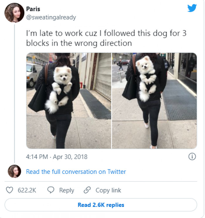 2. So cute. Would follow it to the end of the world...