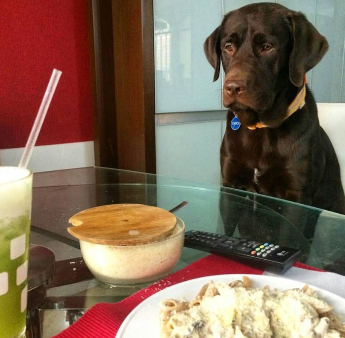 22. But they can get extremely greedy... sometimes.