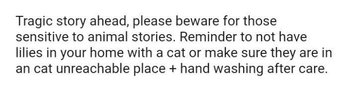 The OP also put up a warning ⚠️