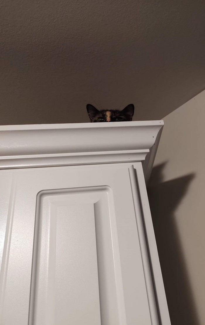 She judges from above