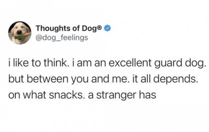 1. If you have the right snack, you can easily gain any dog's trust.