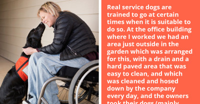 Curious Online User Wonders How Service Dog Owners Handle Their Dogs That Need To Potty While On The Bus