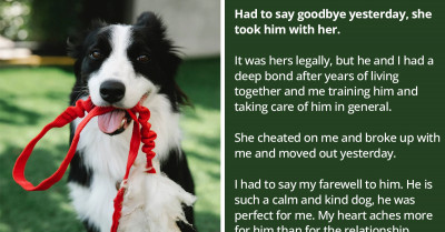 Man Experiences A Double Heartbreak After His Ex-Girlfriend Takes Her Dog Away Post Breakup