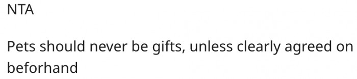 13. Pets are not ideal gift items.