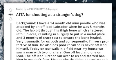 Redditor Shouts At Stranger’s Dog To Make It Go Away, The Owner Starts An Argument Instead Of Apologizing