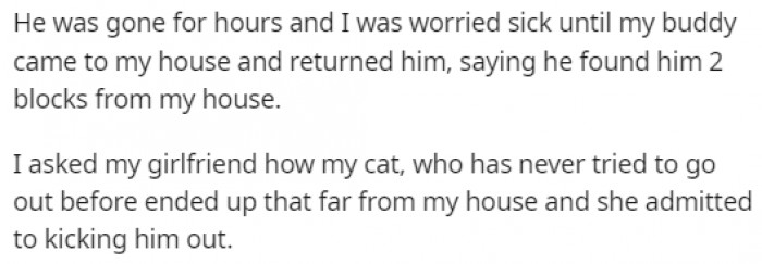 After his friend returned the cat, he immediately confronted his girlfriend, who didn't even try to hide the fact that she was the one who kicked the cat out of the house.