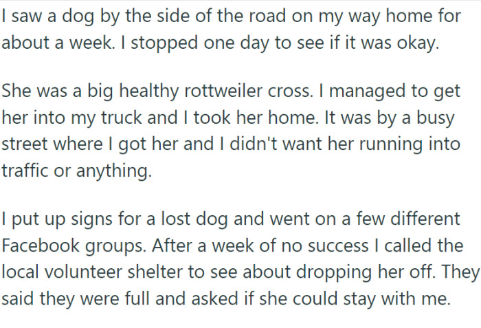 OP rescued a dog, and it turned out to be pregnant