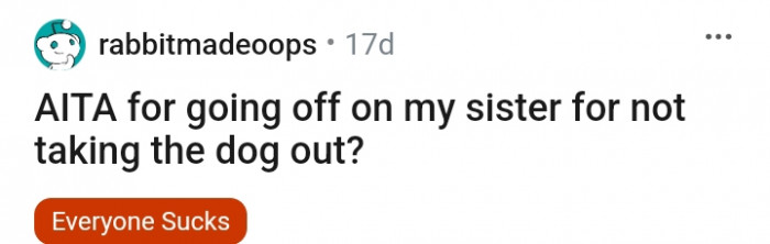 Is this Redditor wrong to go off on her sister for not walking her dog?