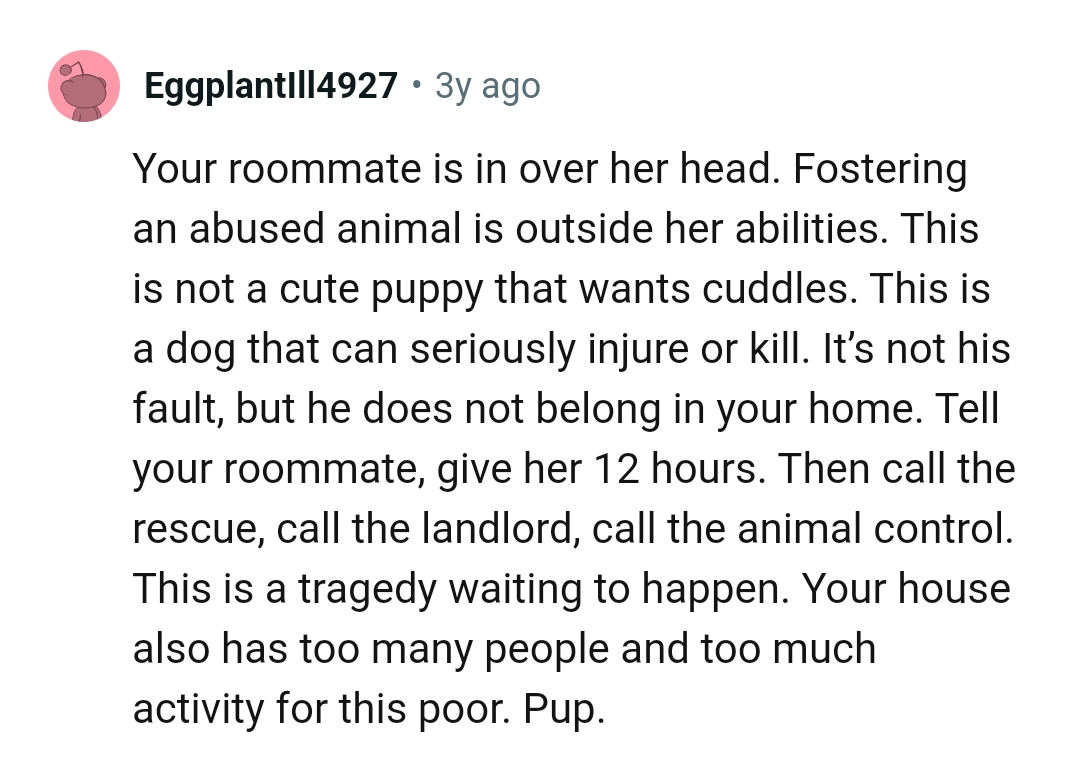 Calling animal control