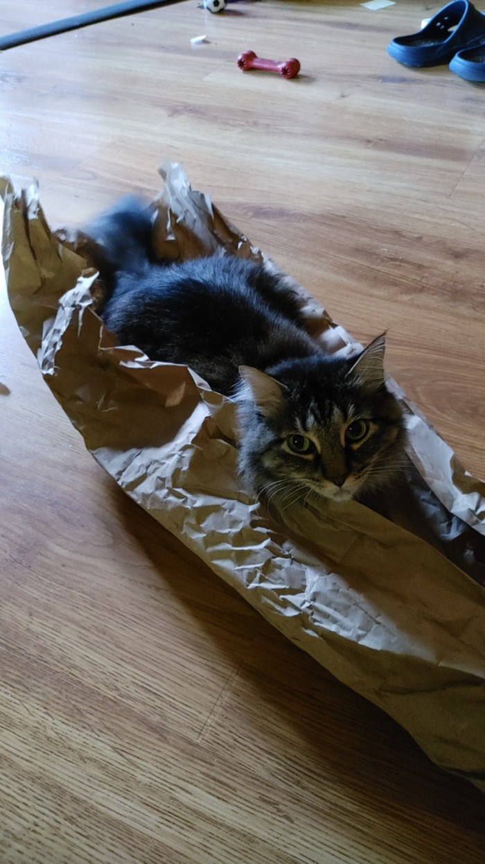 8. Wrapping things up