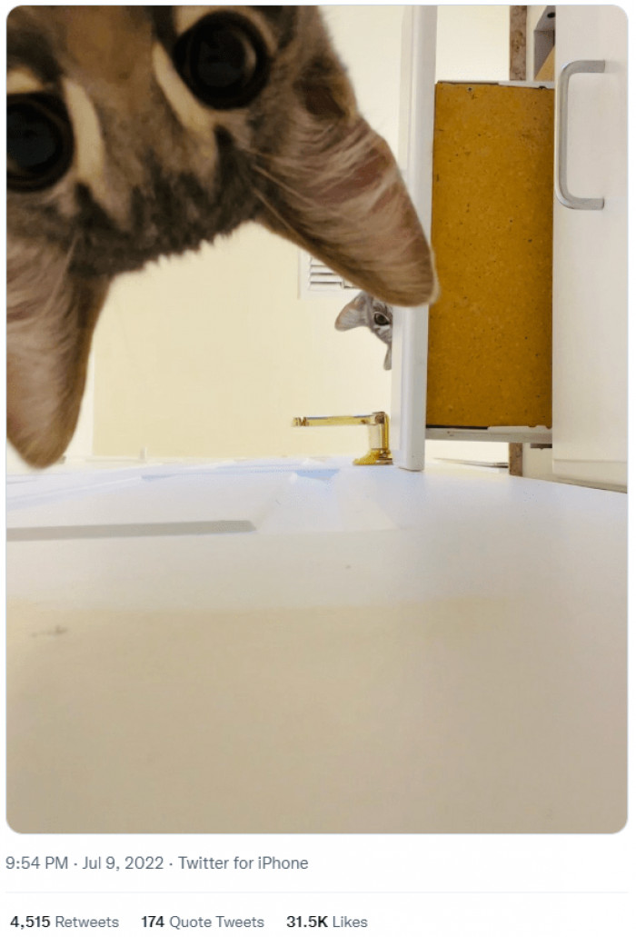 The madness of the whole situation was hysterical