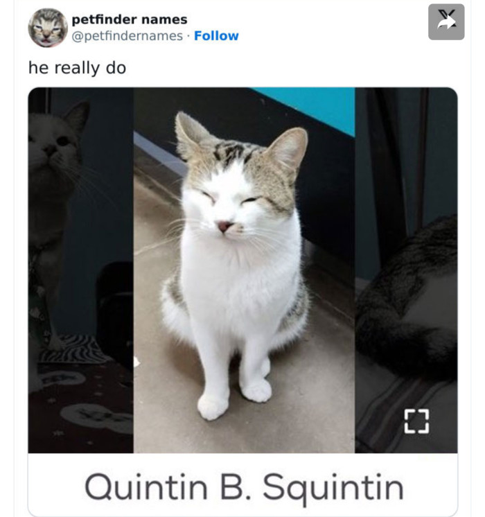 Quintin B. Squintin