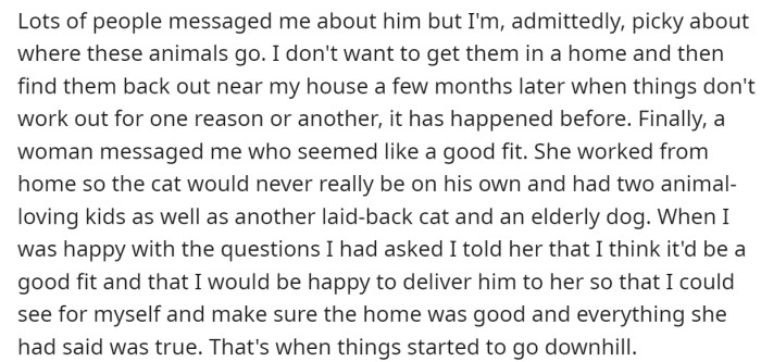 So the OP tried to find the cat a new home, and one lady seemed like a good match for the cat: