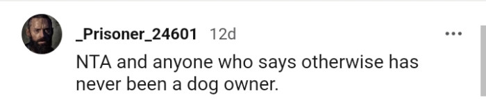 Any verdict that isn't NTA is by a non dog owner