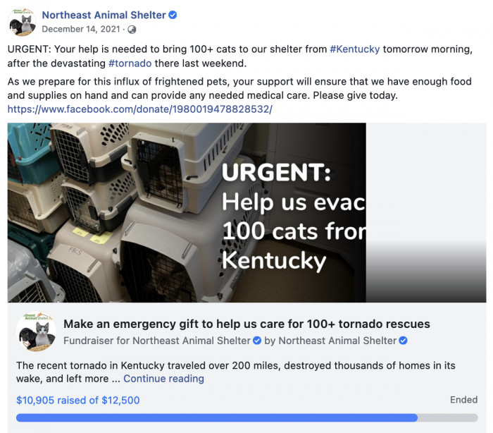 The hope was to have the 100 cats settle into their new environment quickly.