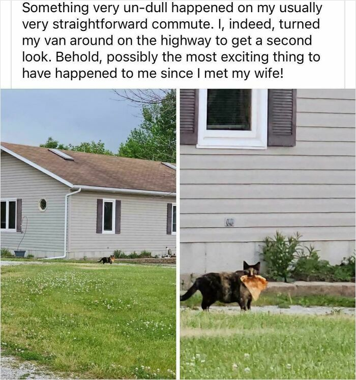 43. Operation Snack Retrieval: executed flawlessly, calories well earned.