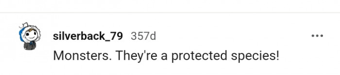 They are a protected species