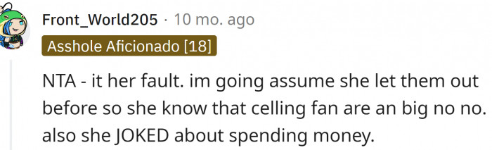 Birds and ceiling fans don't mix well