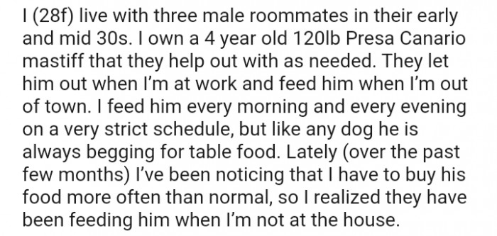 I Feed Him Every Morning and Every Evening