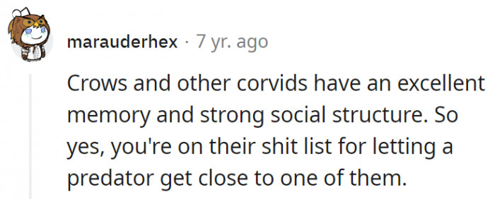 1. They'll remember your crime and hold you accountable