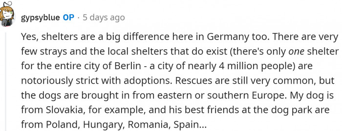 No dogs available for adoption in Berlin