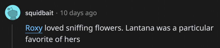 Since we can't get a photo or video of OP's dog smelling the peonies...