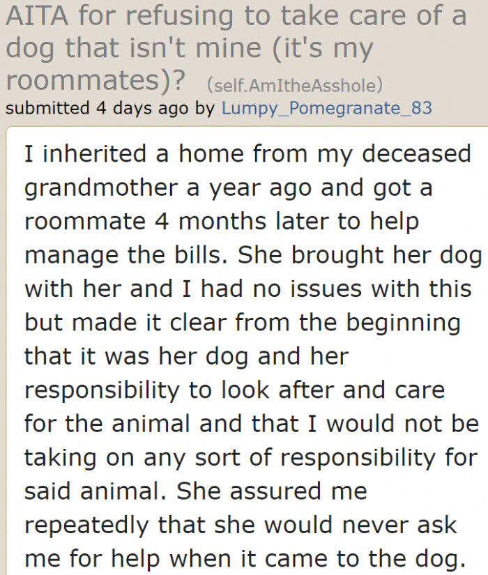 A young woman decided to have a roommate in her home to lighten the load on the bills. Her roommate owns a dog.