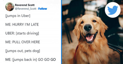 18 Wholesome, True, and Adorable Tweets About Dogs