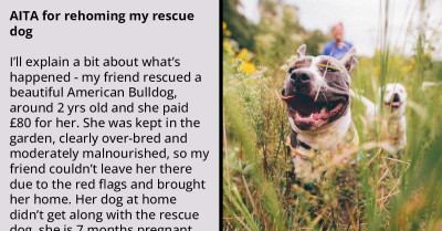 A Tale Of Redditor's Heartbreaking Decision To Rehome A Troubled Rescue Dog
