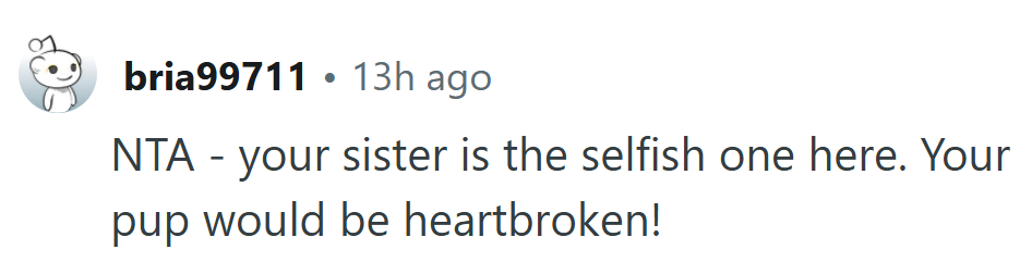 Sometimes the selfish choice isn’t keeping the dog—it’s trying to take him away from where he feels safe.