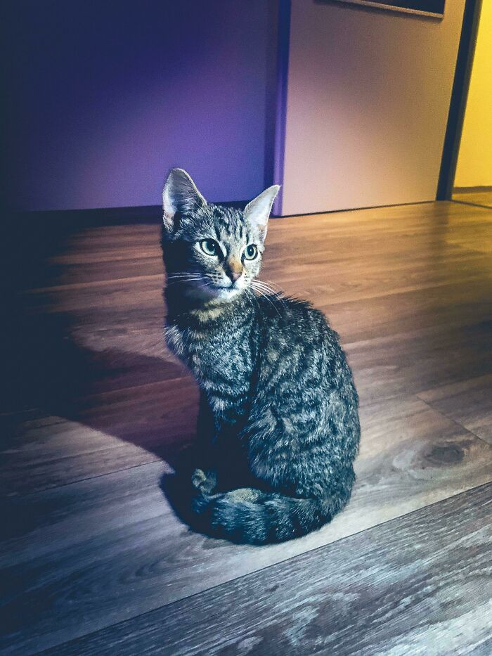 20. So I Found Out My GF Is Cheating On Me