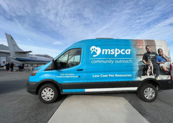 It was a challenging time for Kentucky, but with the support and coordination of local and national organizations, the cats were relocated to a safe place.